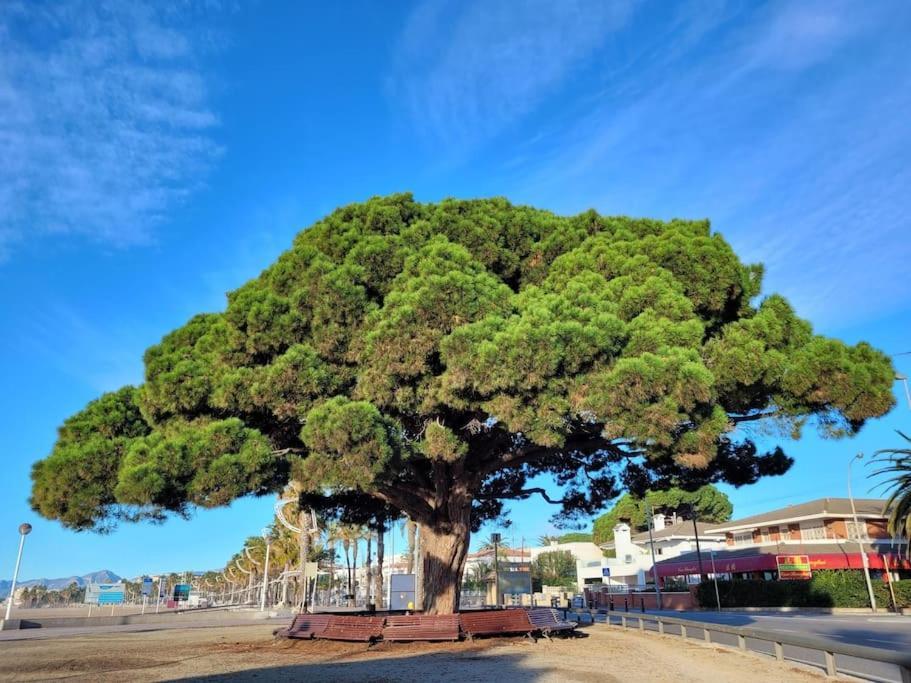 Cambrils Dulces Suenos Διαμέρισμα Εξωτερικό φωτογραφία